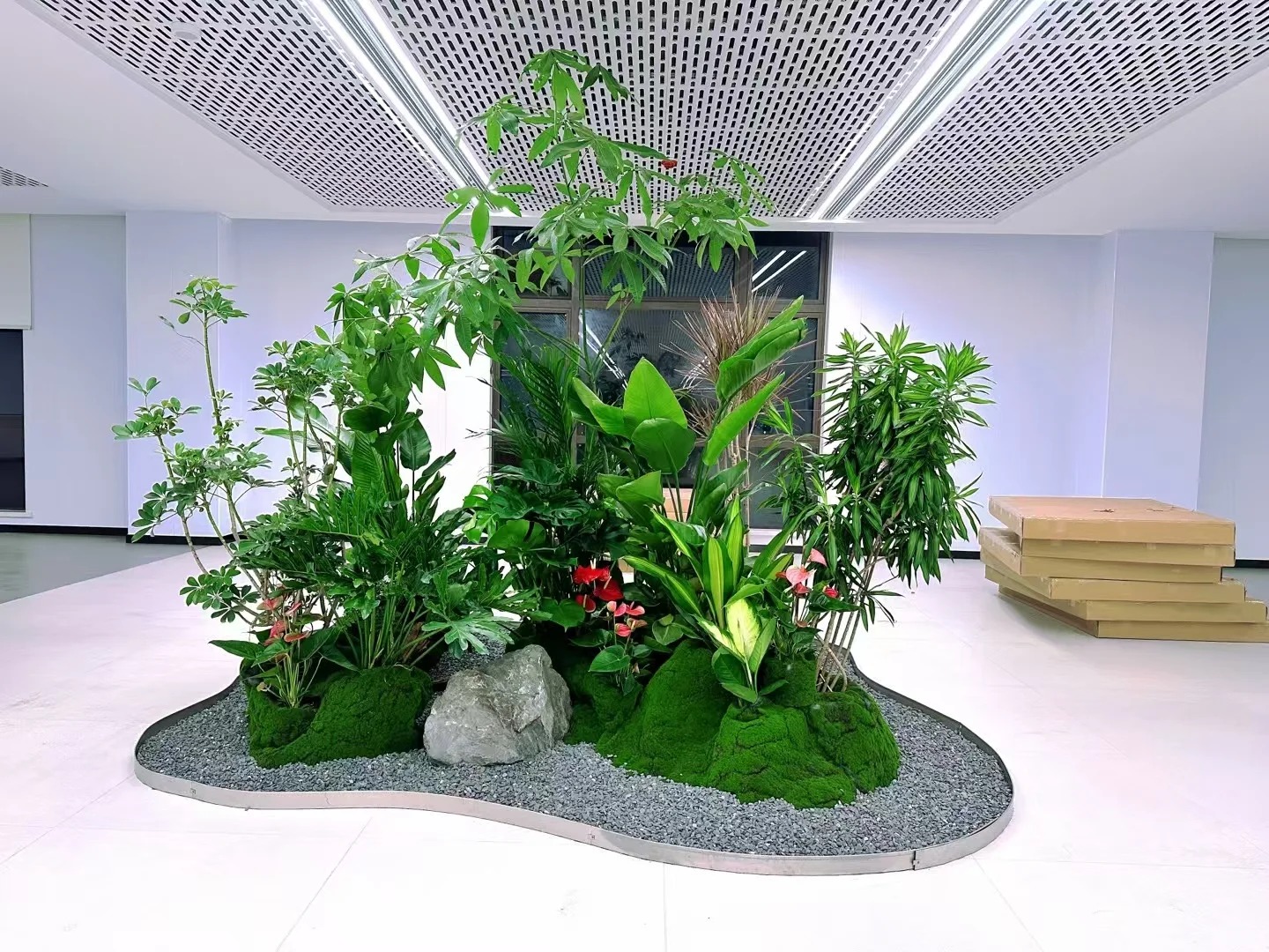 专业引领,宁波盆景租摆别样精彩