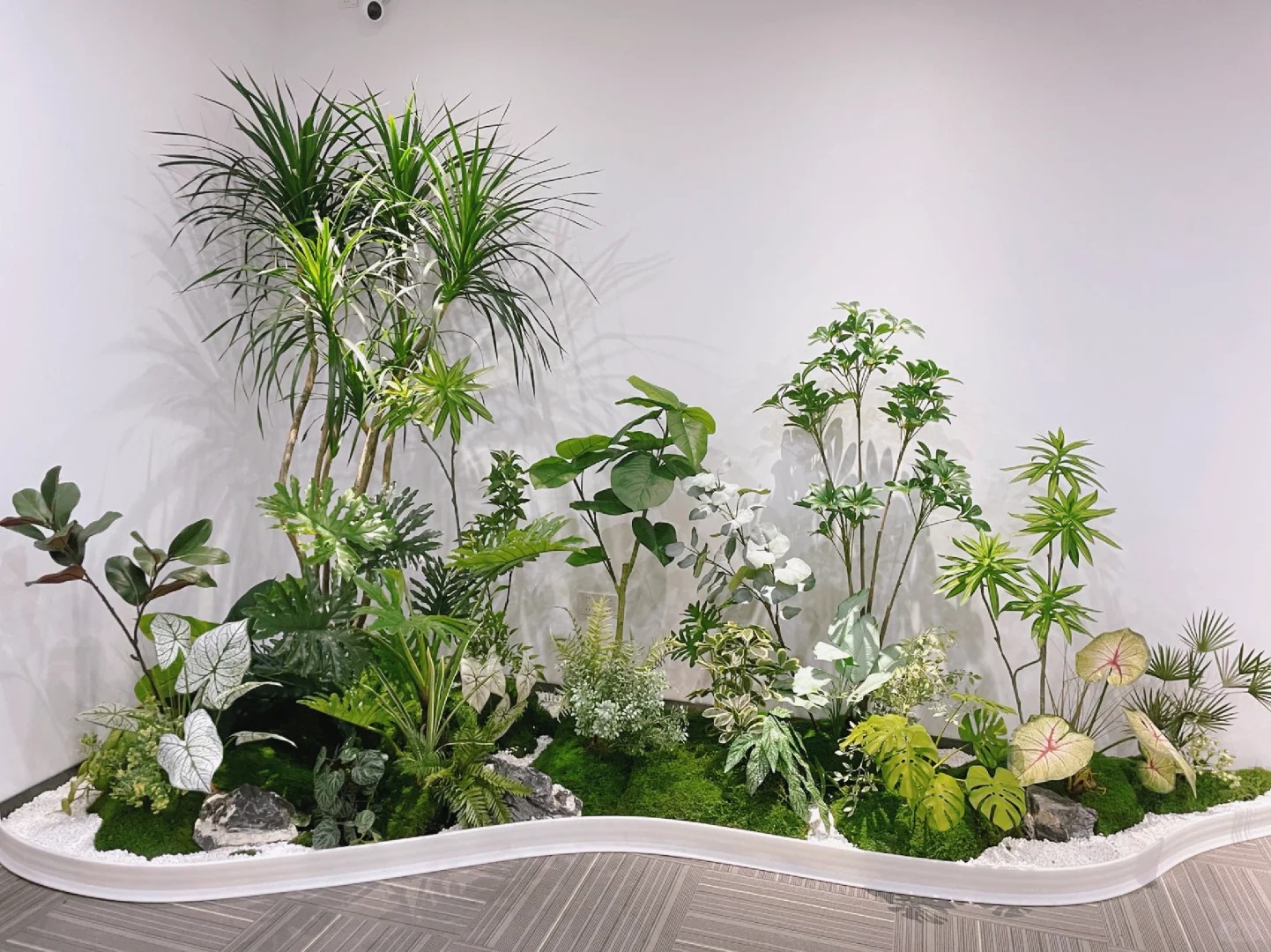 专业引领,宁波盆景租摆别样精彩